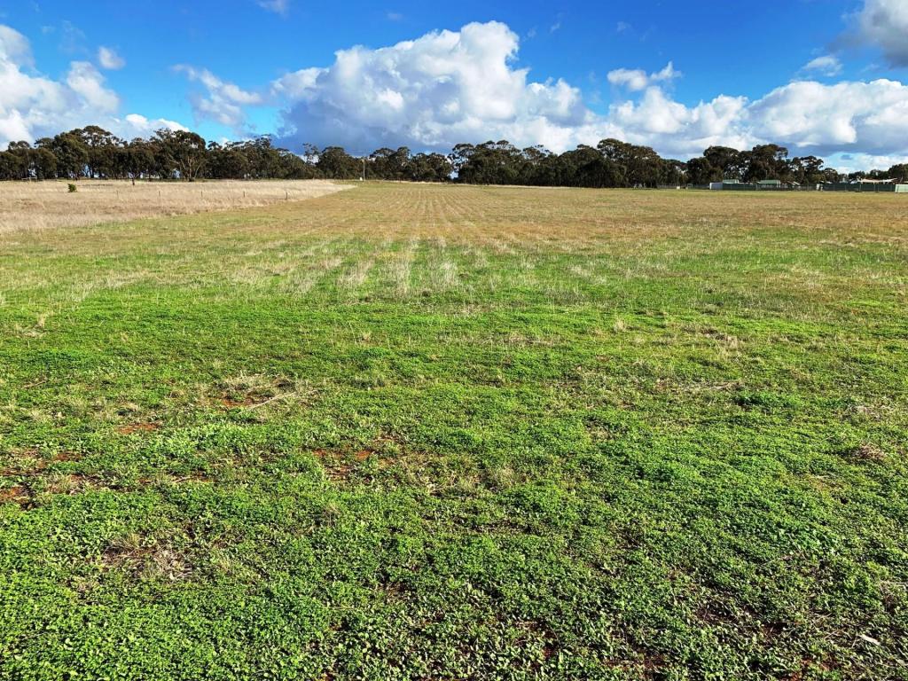 Contact Agent For Address, Bonn, VIC 3561