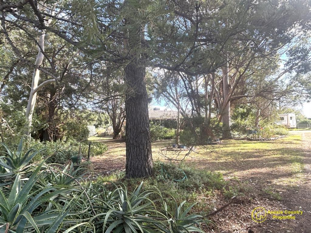 69 Bushfield Rd, Berrigan, NSW 2712