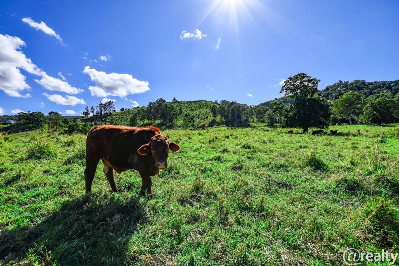 92 Gap Rd, Cedar Pocket, QLD 4570