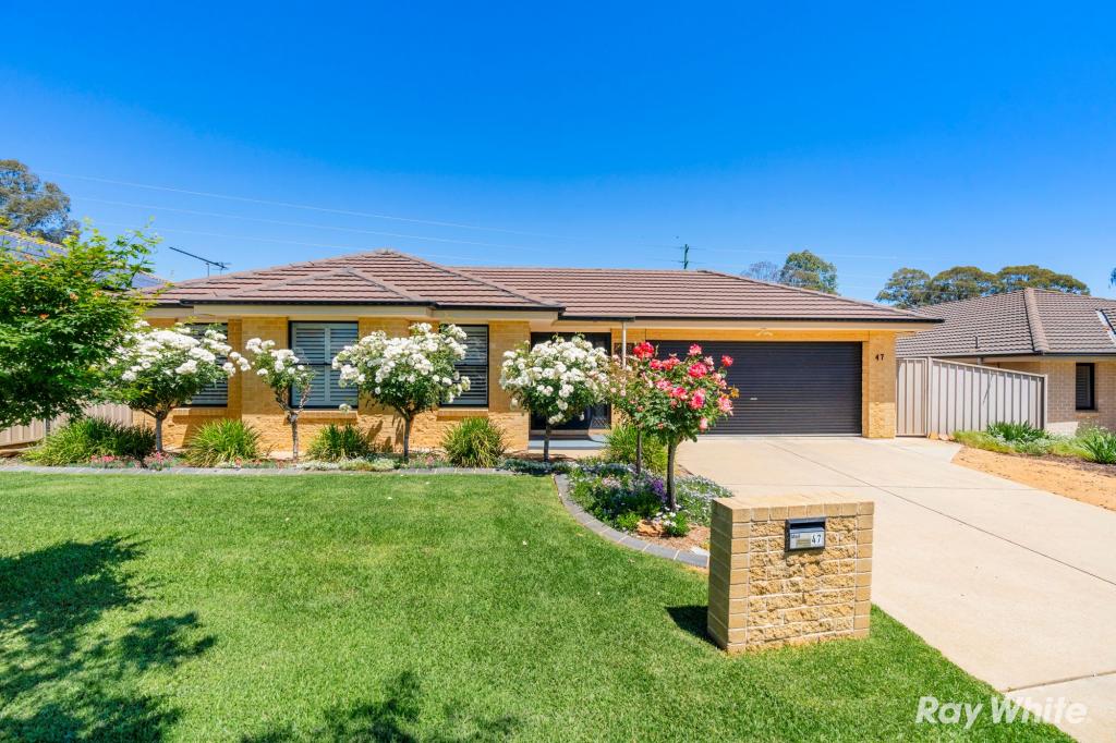 47 Swan St, Ashmont, NSW 2650