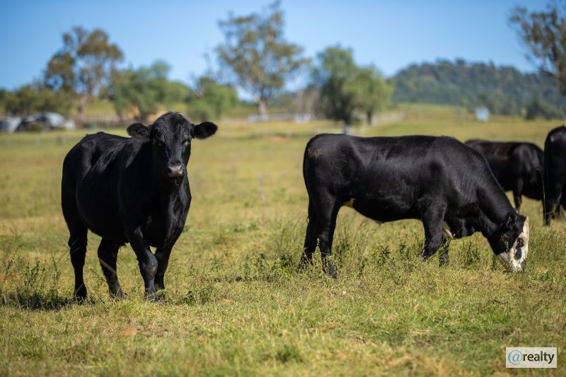 244 Sheep Station Creek Rd, Bingara, NSW 2404