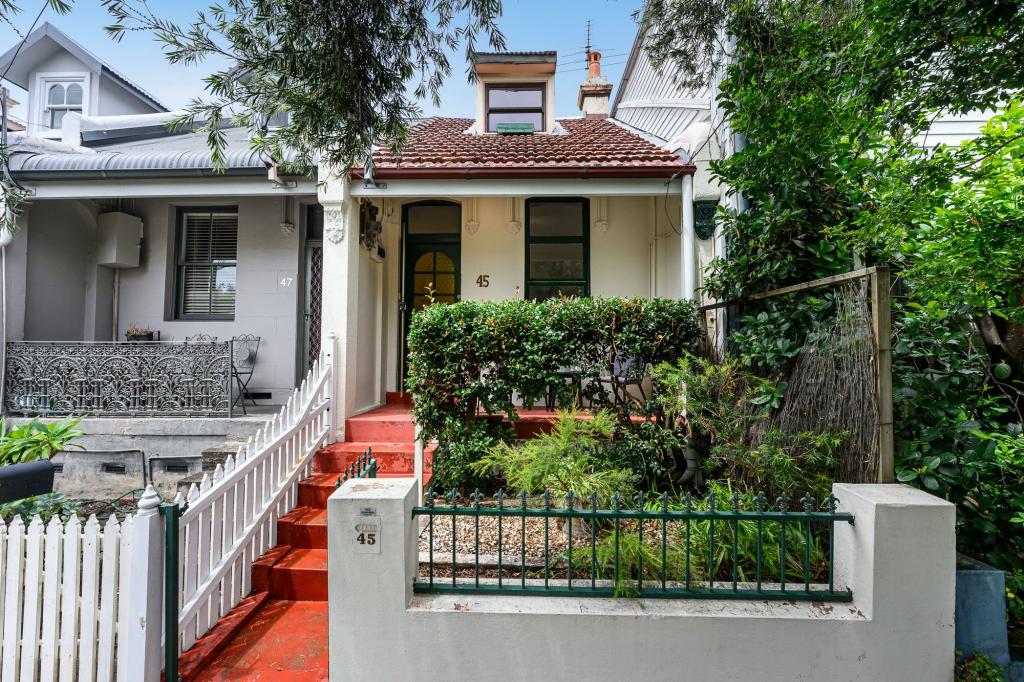 45 Young St, Annandale, NSW 2038