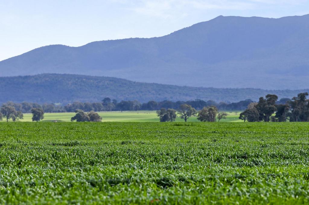 1077 Yarram Gap Rd, Willaura, VIC 3379
