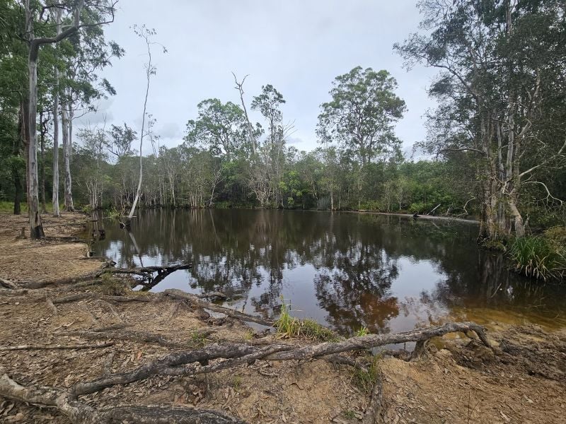 129 Davis Rd, Bauple Forest, QLD 4650