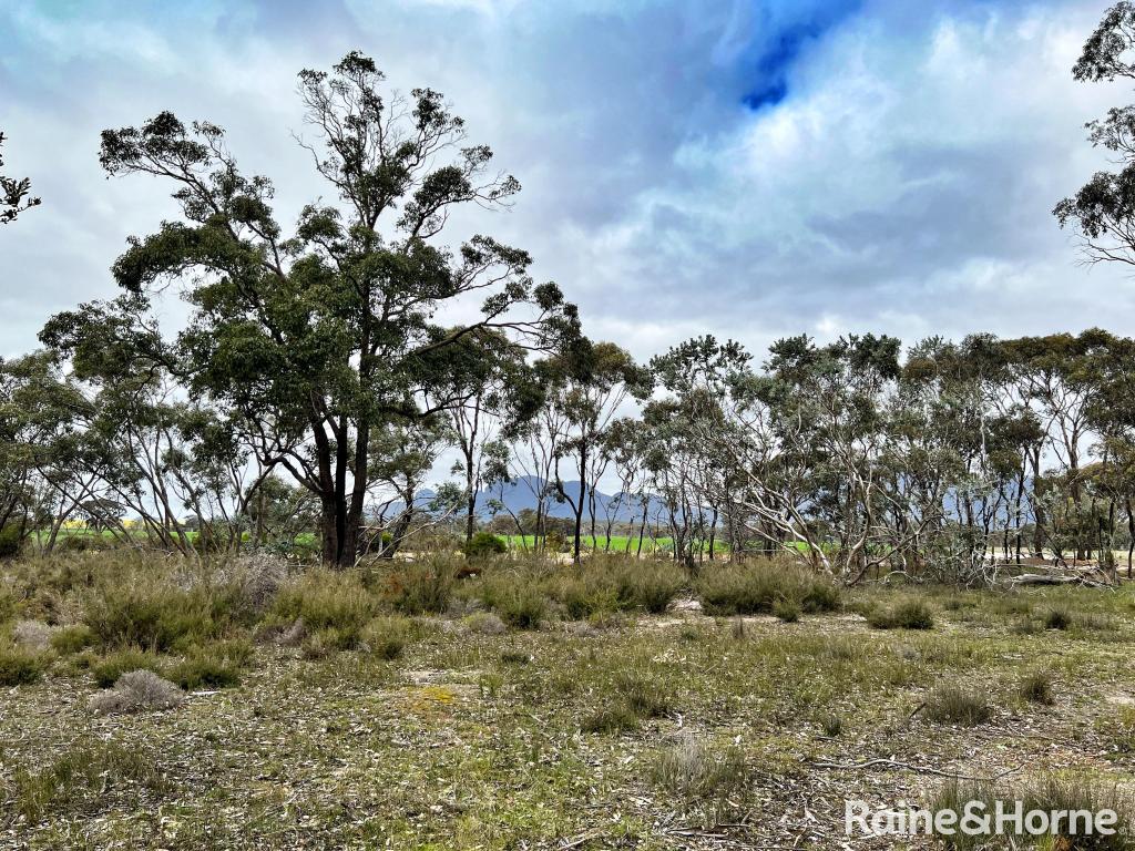 Lot 6 Chester Pass Rd, Amelup, WA 6338