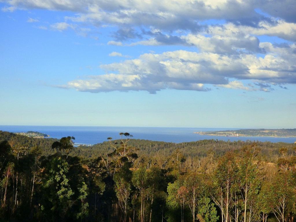 181 Silver Top Crs, Nullica Via, Eden, NSW 2551