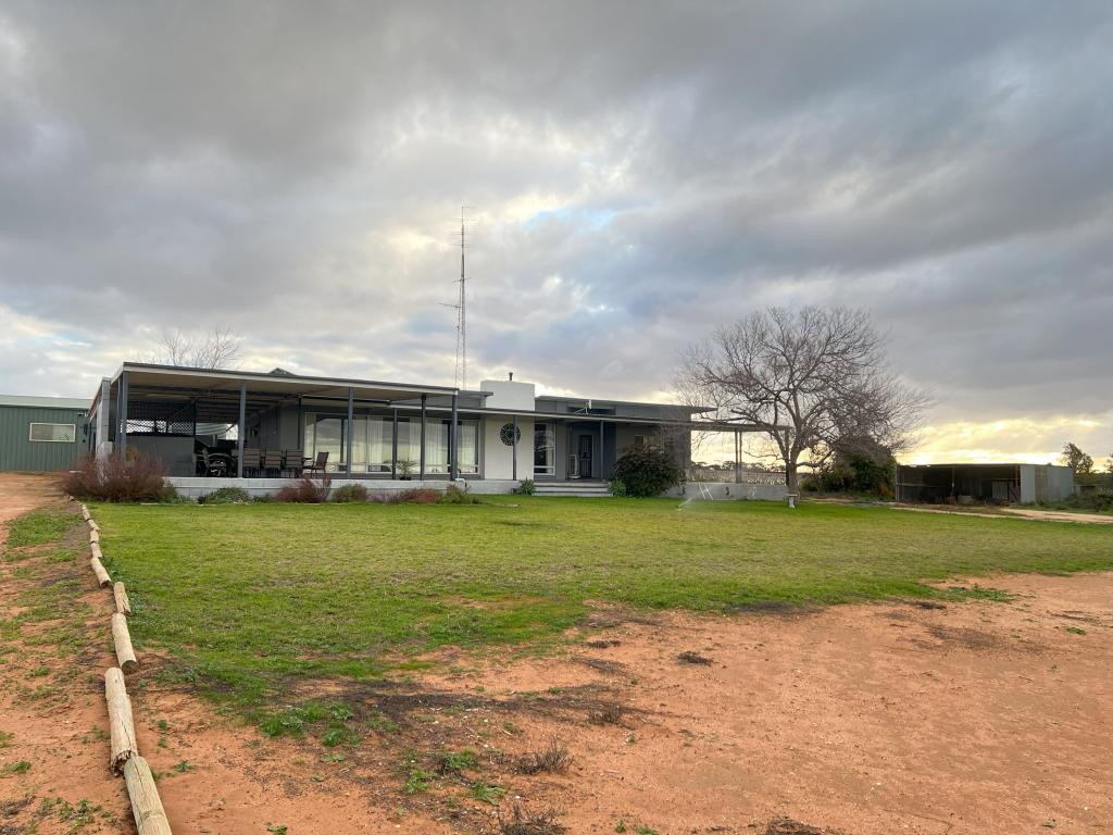 56 COSTELLO RD, LOVEDAY, SA 5345