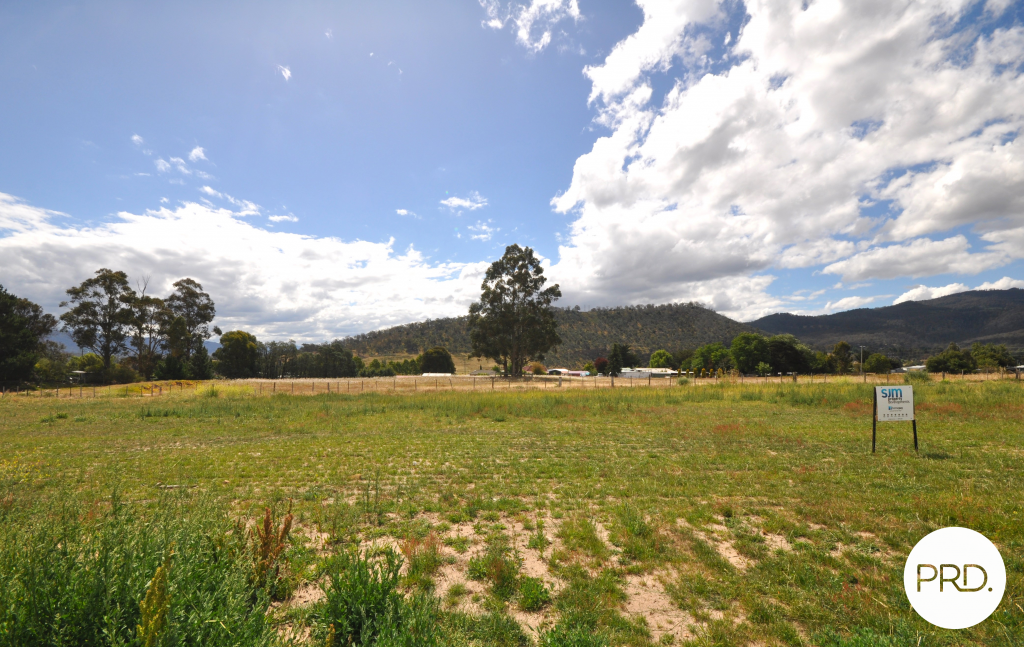 41 Bluetongue Dr, Magra, TAS 7140