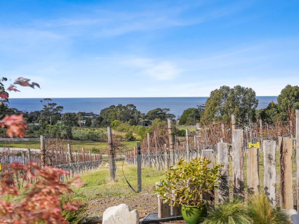 40 Harveys Farm Rd, Bicheno, TAS 7215