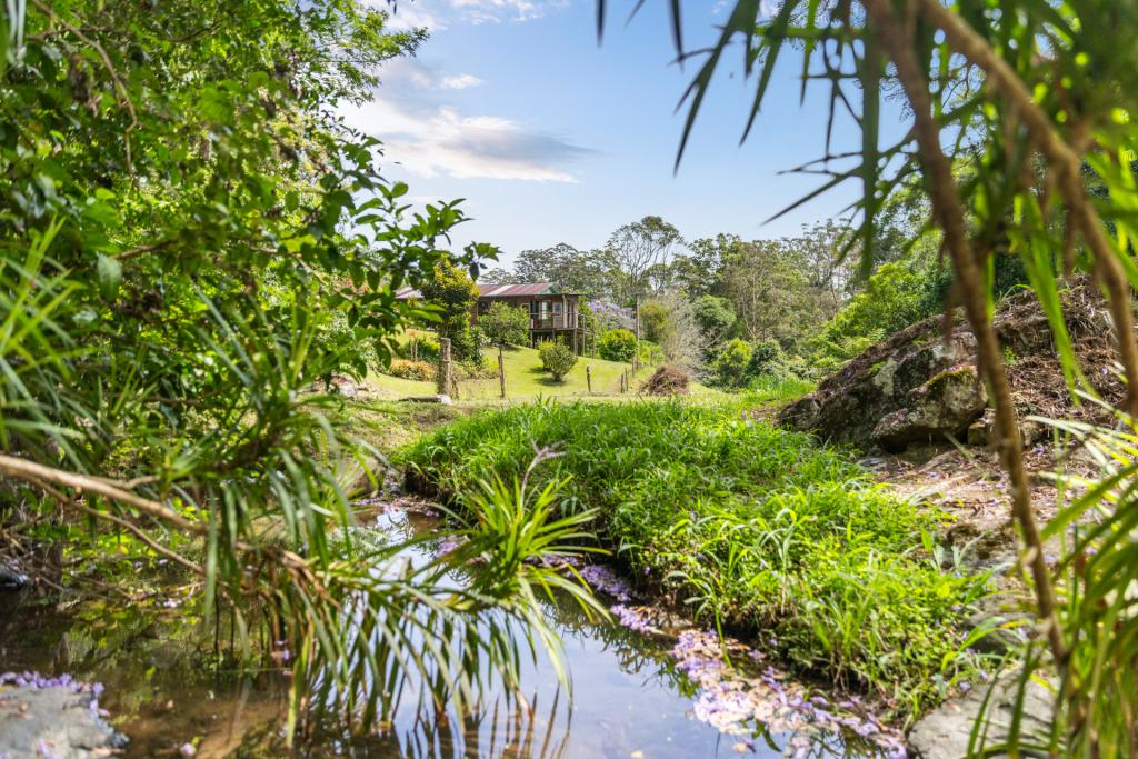 208 Fridays Creek Rd, Upper Orara, NSW 2450