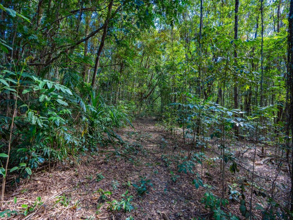 Lot 5 Discovery Drive, Kuranda, QLD 4881