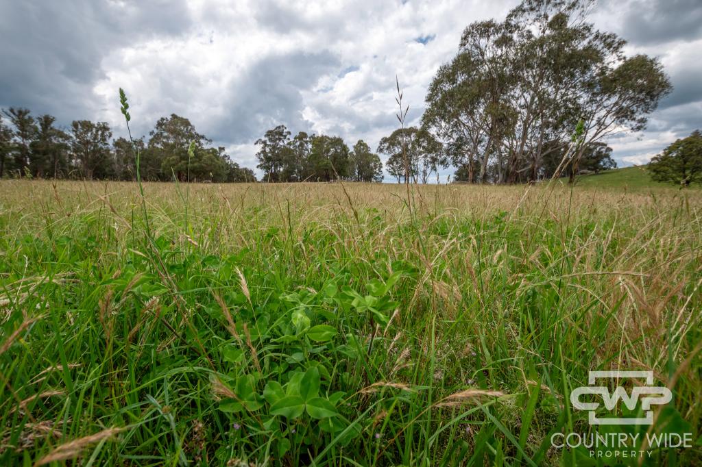  WATSONS RD, PINKETT, NSW 2370