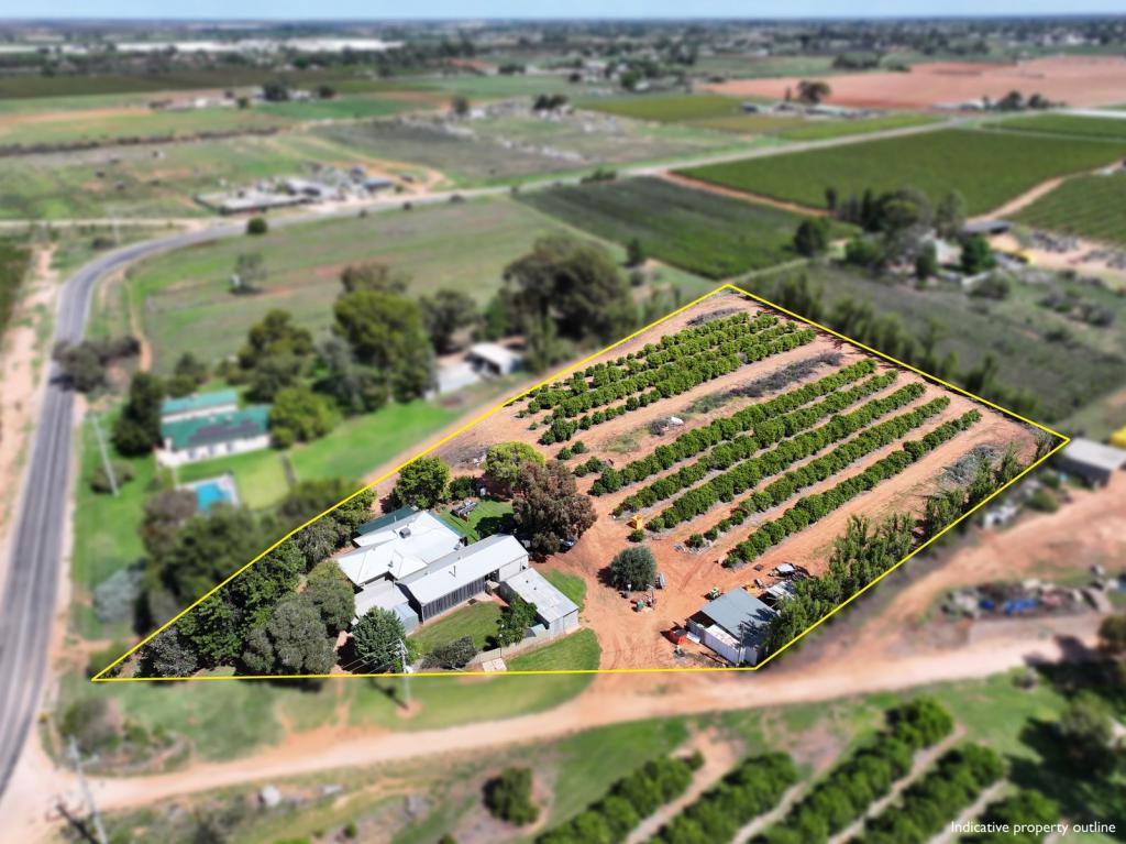 199 Pumps Rd, Red Cliffs, VIC 3496