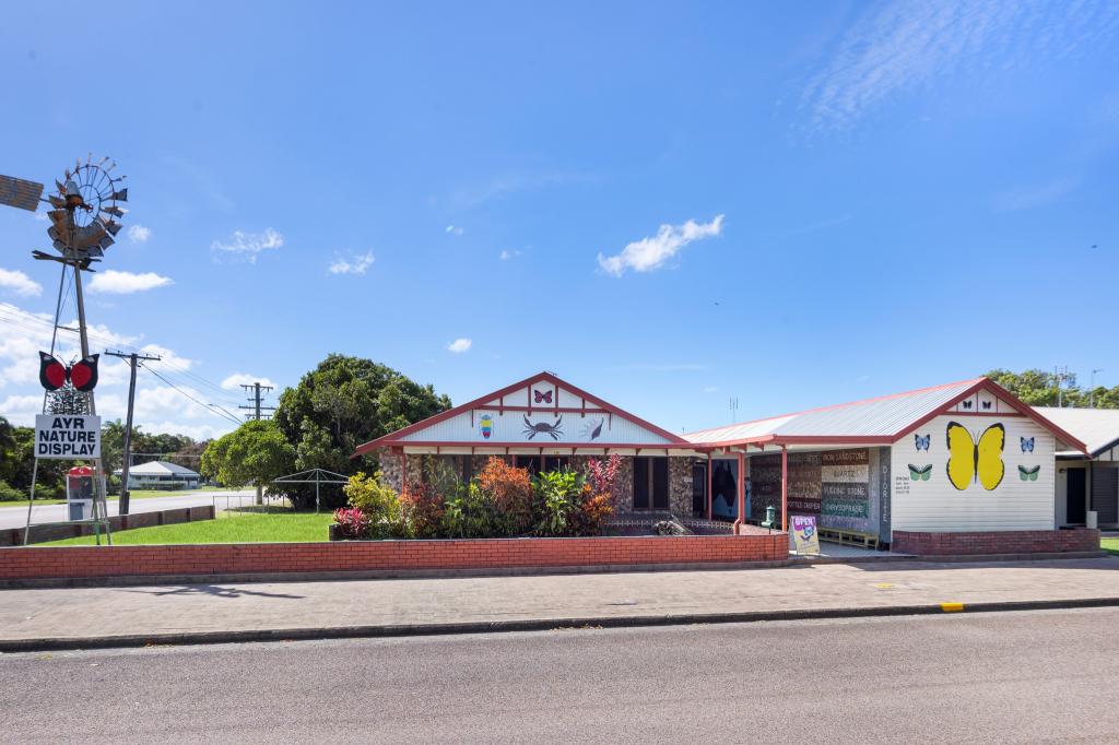 119 Wilmington St, Ayr, QLD 4807