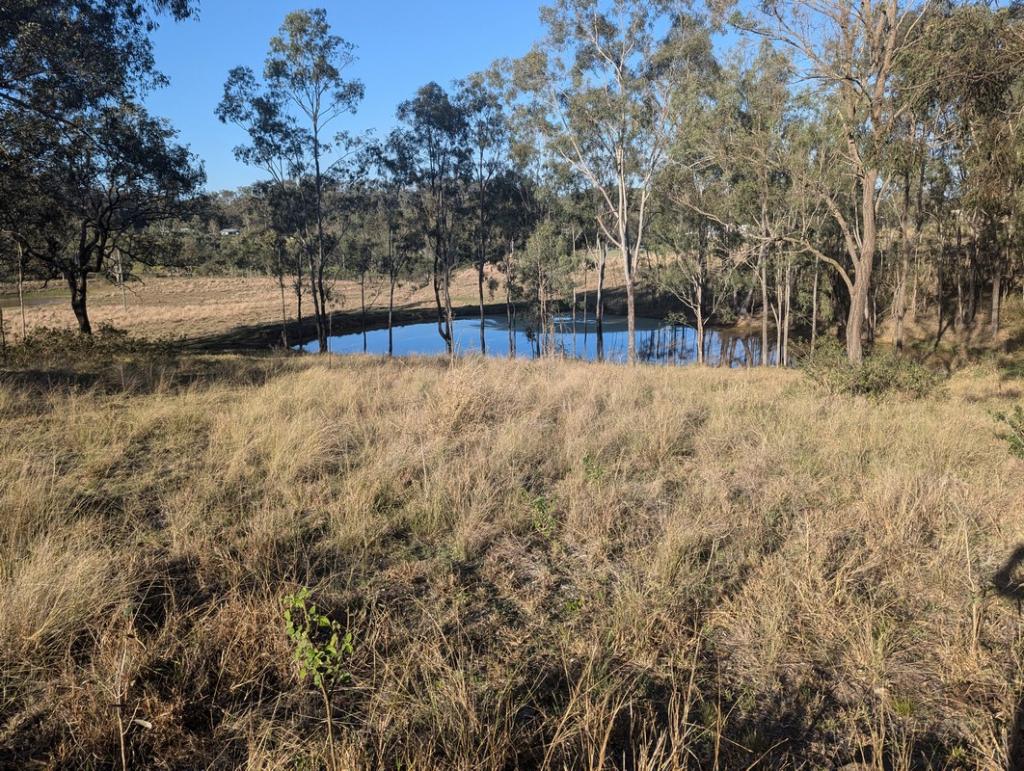 Lot 2 Gittins Rd, Withcott, QLD 4352