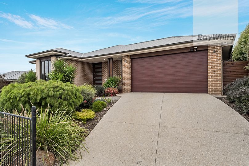 16 Wellington St, Mernda, VIC 3754