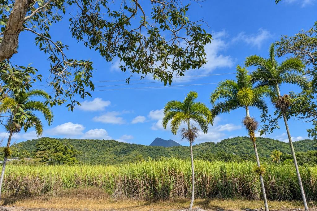 1/25 Pringle St, Mossman, QLD 4873