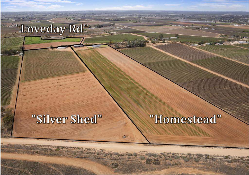 121 Elephant Trunk Rd, Cobdogla, SA 5346