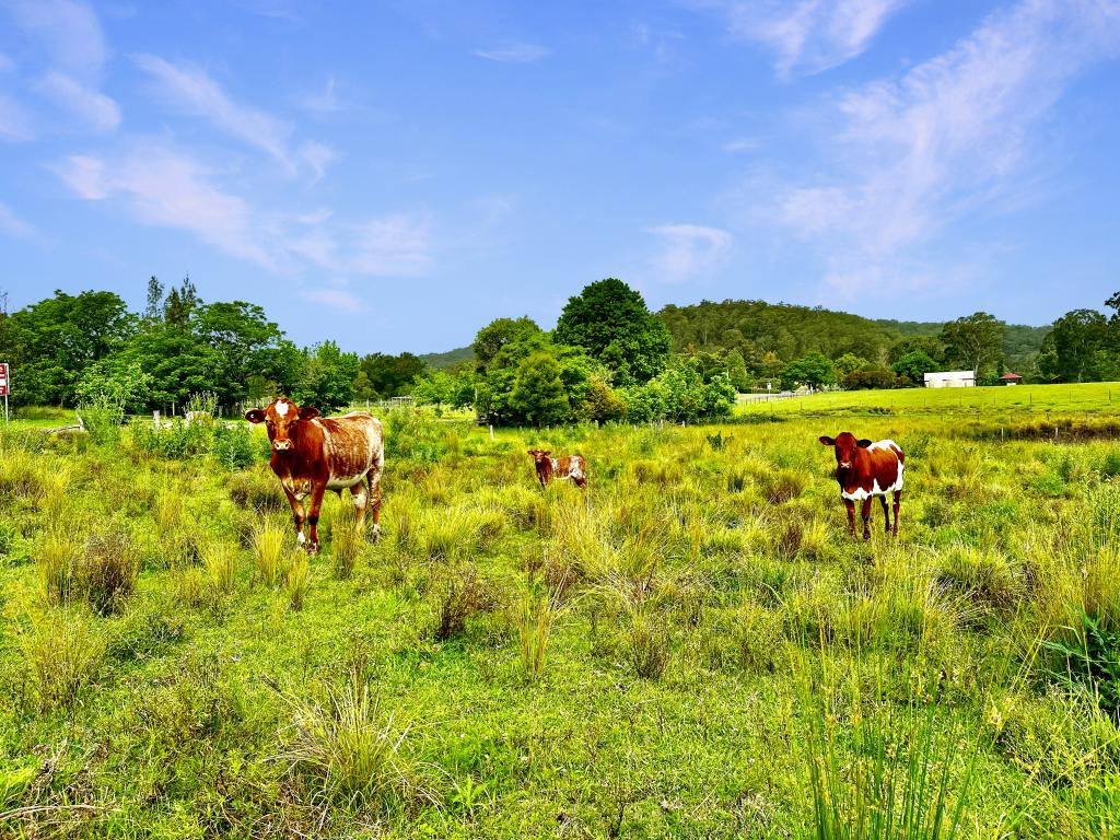 Contact Agent For Address, Wollombi, NSW 2325