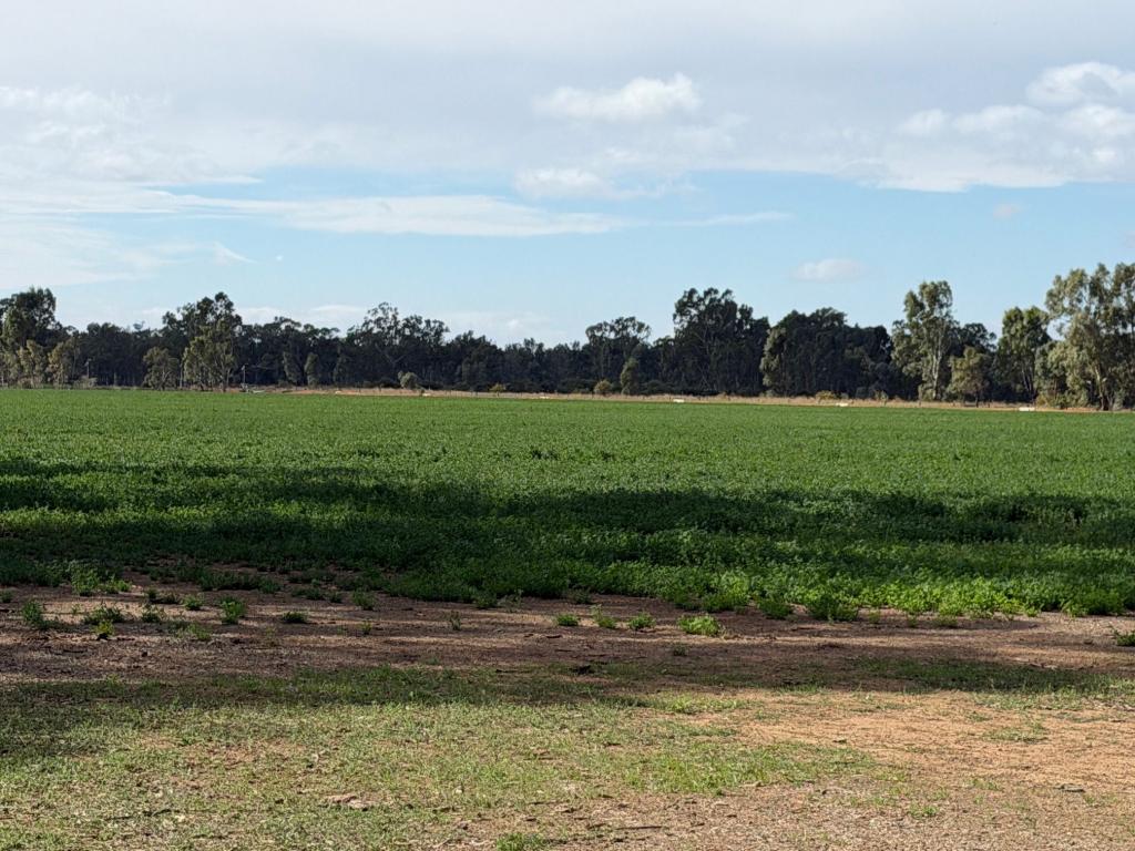 Lot 2/700 Madill Rd, Undera, VIC 3629