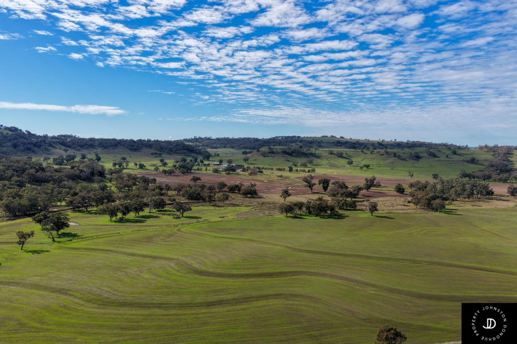229 Gowang Rd, Gowang, NSW 2357