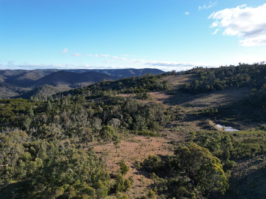 35 MARES FOREST RD, WOMBEYAN CAVES, NSW 2580