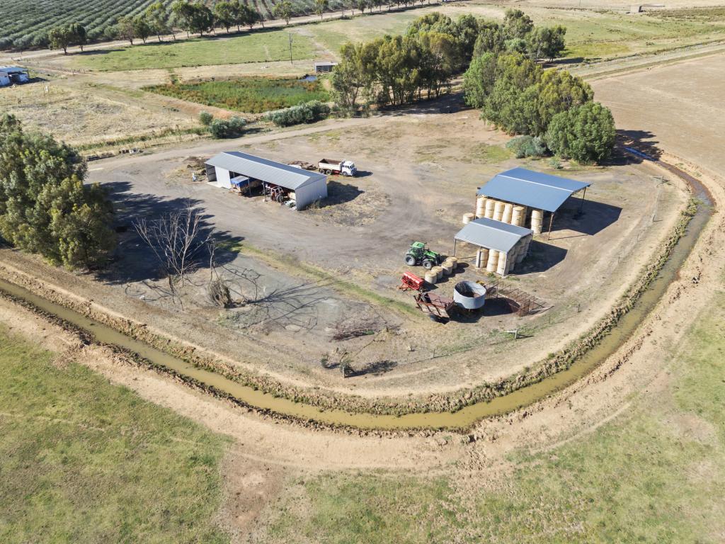 Lot 63 Mccullochs Rd, Tocumwal, NSW 2714