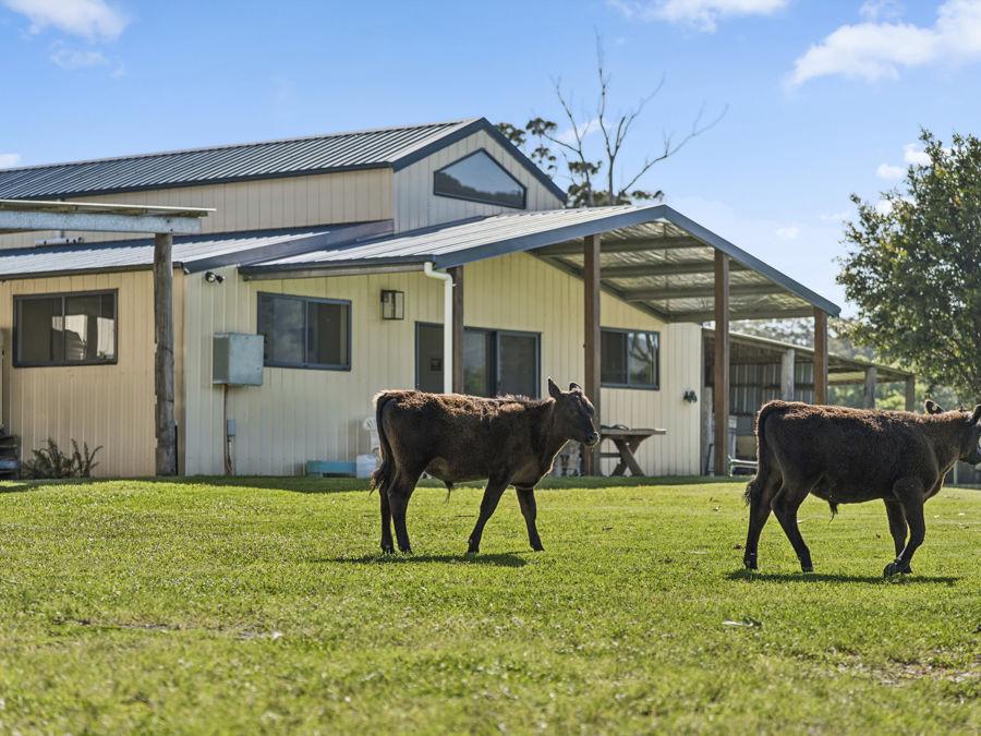 Lot 2 Gillards Rd, Bucca, NSW 2450