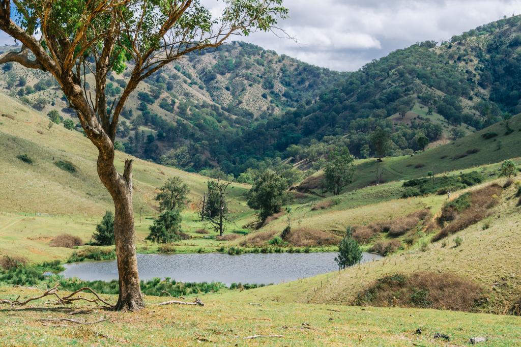 1746 STEWARTS BROOK RD, STEWARTS BROOK, NSW 2337