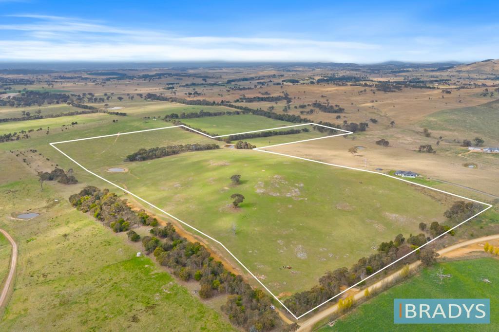 311 BUSHS LANE, MURRUMBATEMAN, NSW 2582