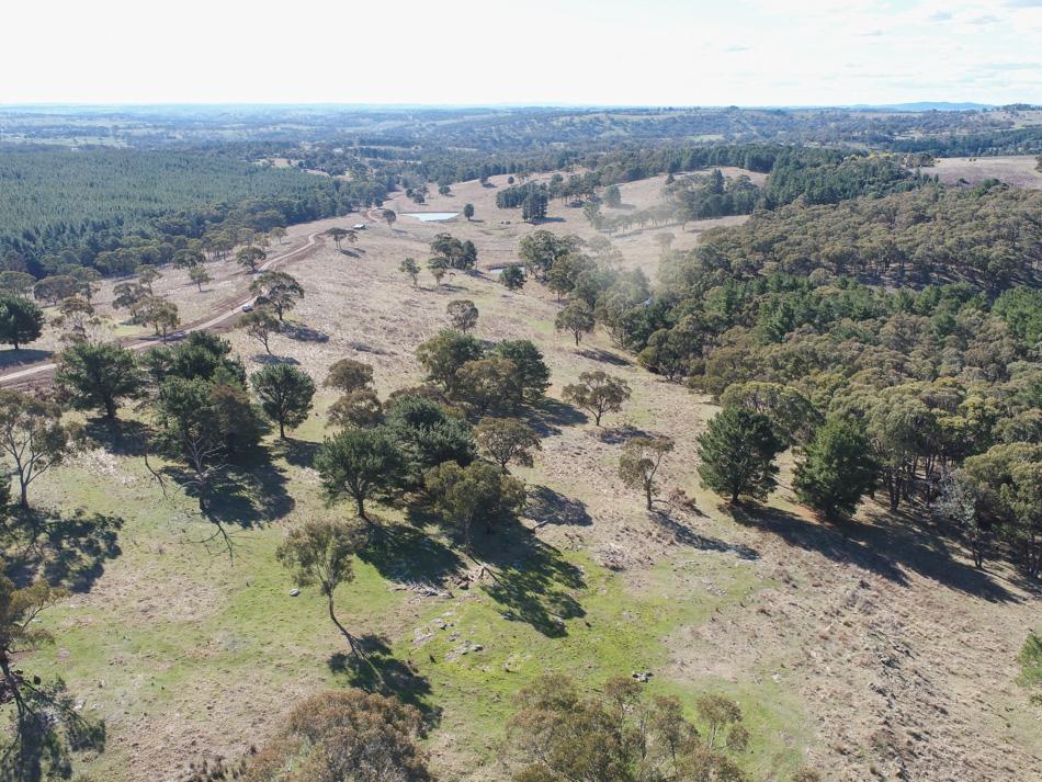 1173 Cargo Rd, Lidster, NSW 2800