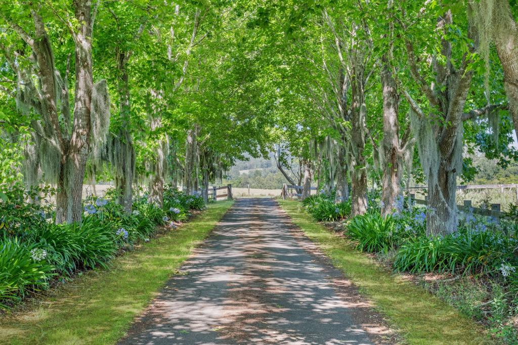 114 Hartys Plains Rd, Hartys Plains, NSW 2446