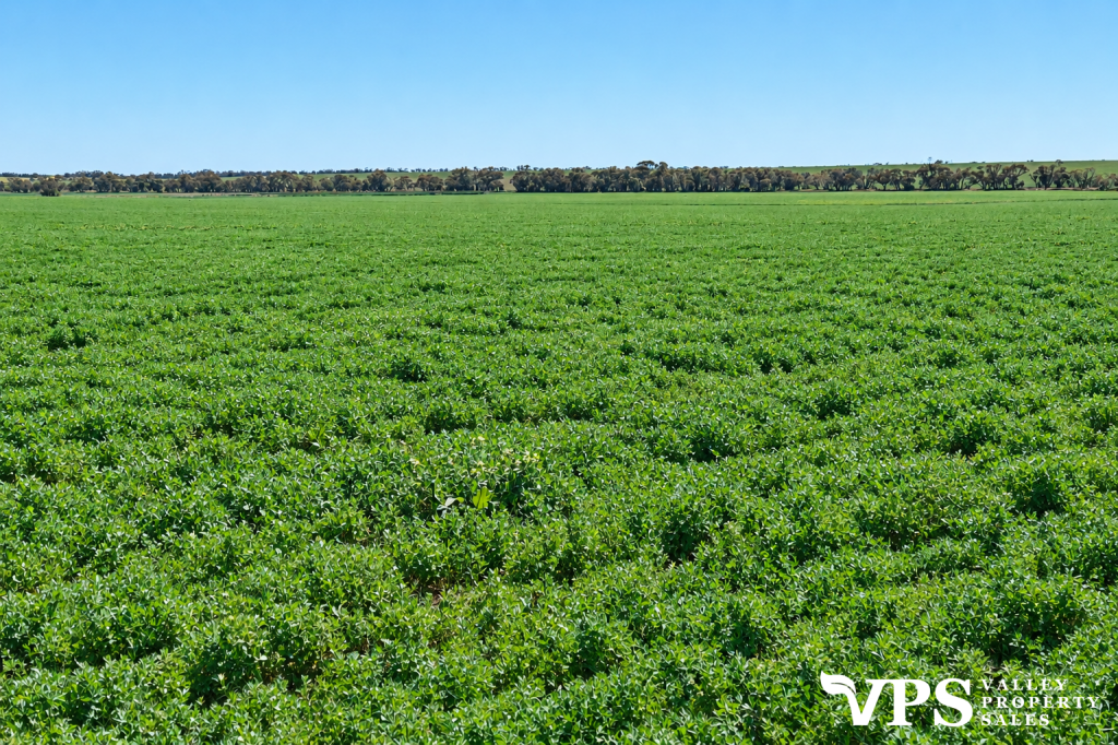 1 Perkins Rd, Jeparit, VIC 3423
