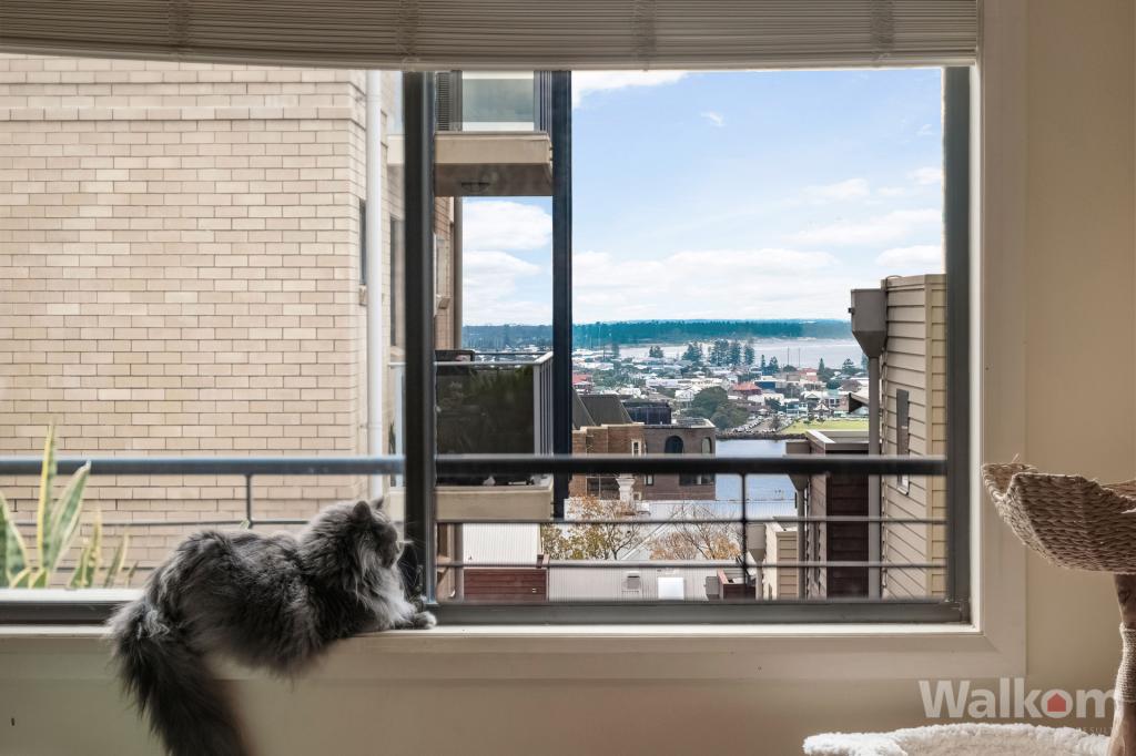 56 TYRRELL ST, THE HILL, NSW 2300