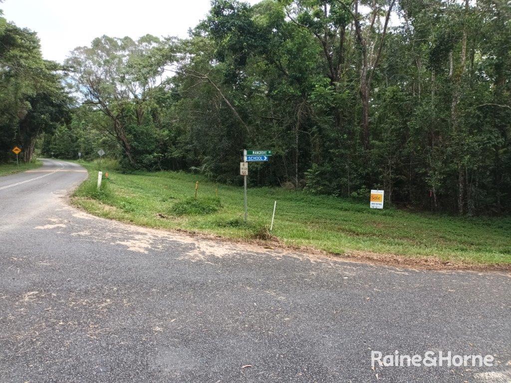 Lot 92 Cape Tribulation Road, Diwan, Daintree, QLD 4873