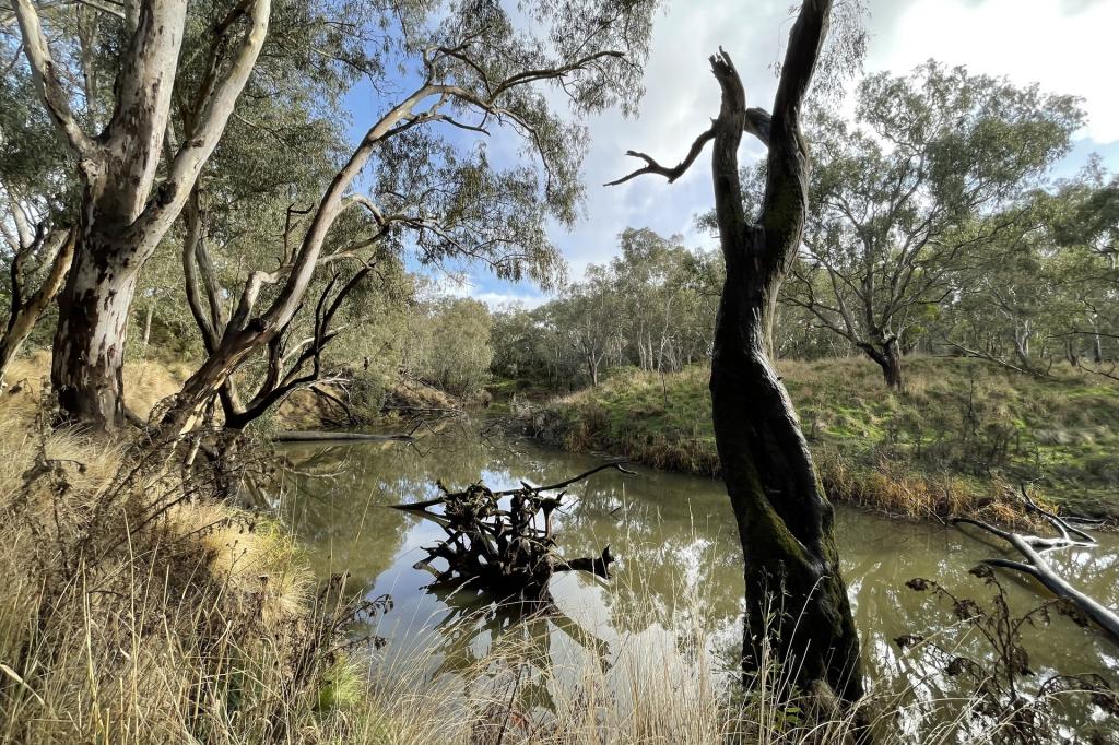 Dartmoor-Hamilton Rd, Dartmoor, VIC 3304