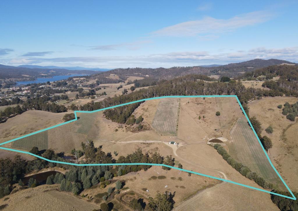 Lot 1 Wallace Rd, Cygnet, TAS 7112