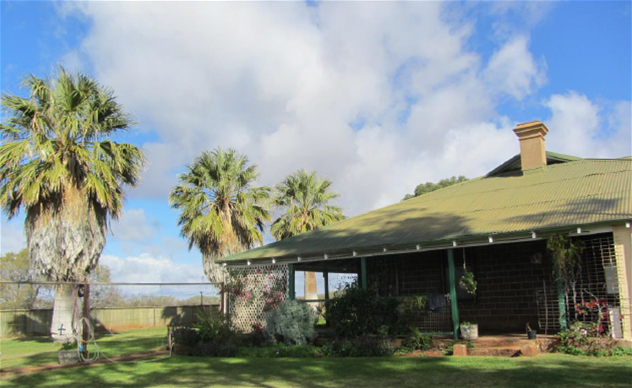 Jingemarra Station, Yalgoo, WA 6635