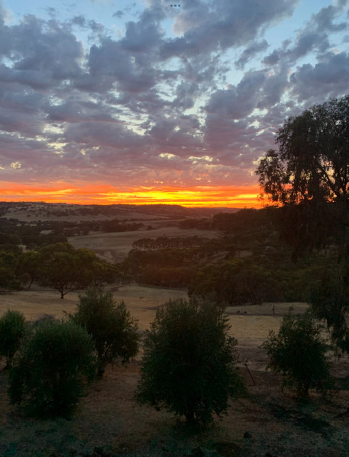 Contact Agent For Address, Coondle, WA 6566