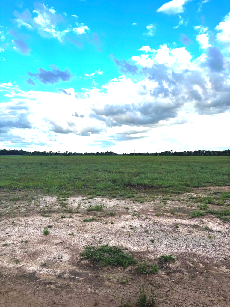 41 Von Deest St, Kensington, QLD 4670