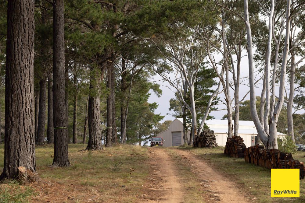 270 Pine Bank Dr, Lower Boro, NSW 2580