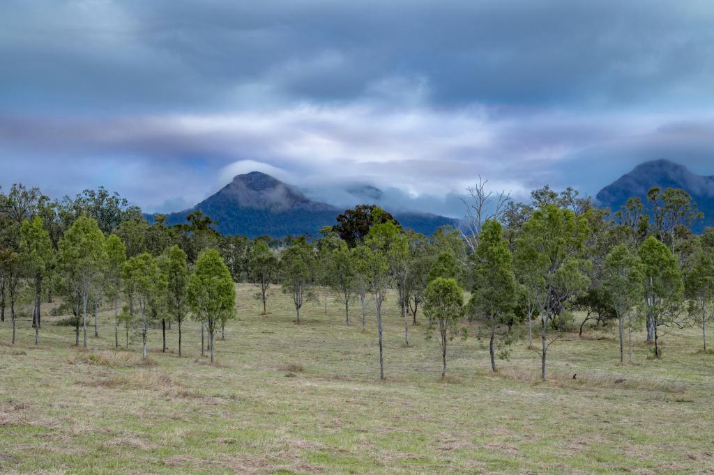 0 CUNNINGHAM HWY, CLUMBER, QLD 4309