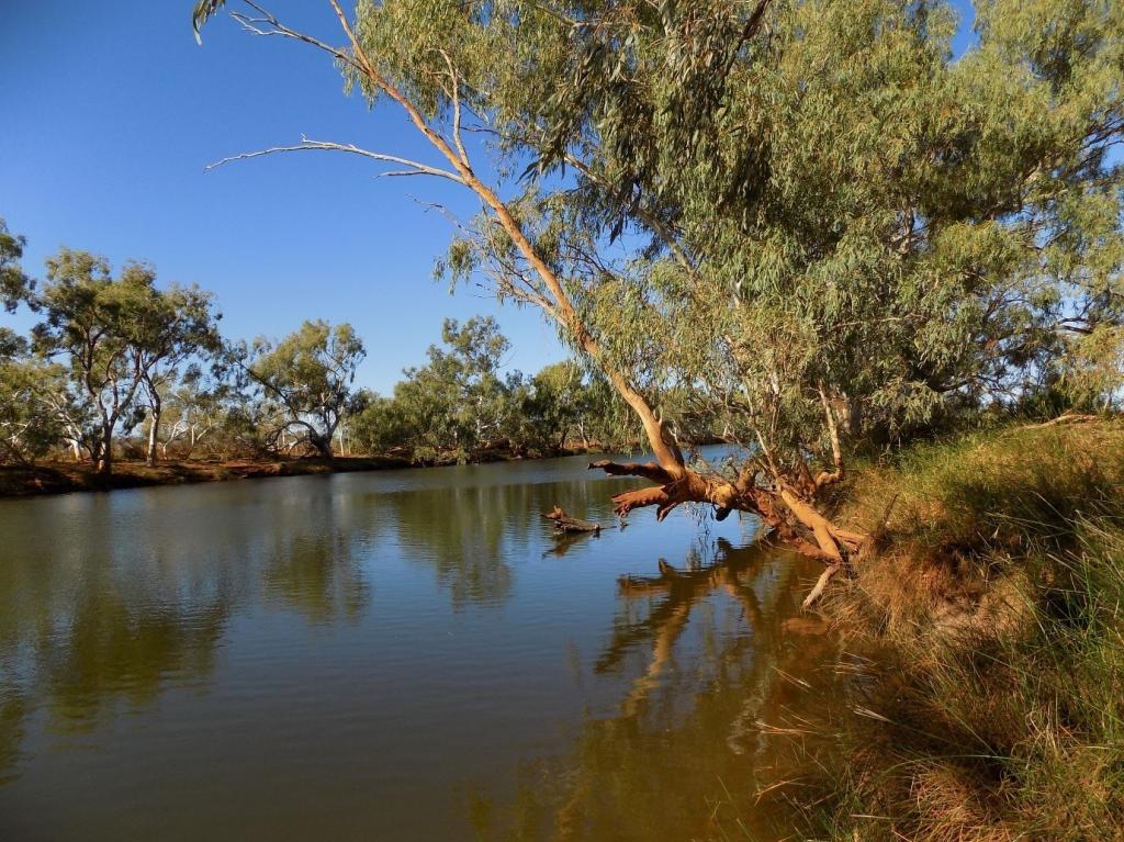 Contact Agent For Address, West Lyons River, WA 6705