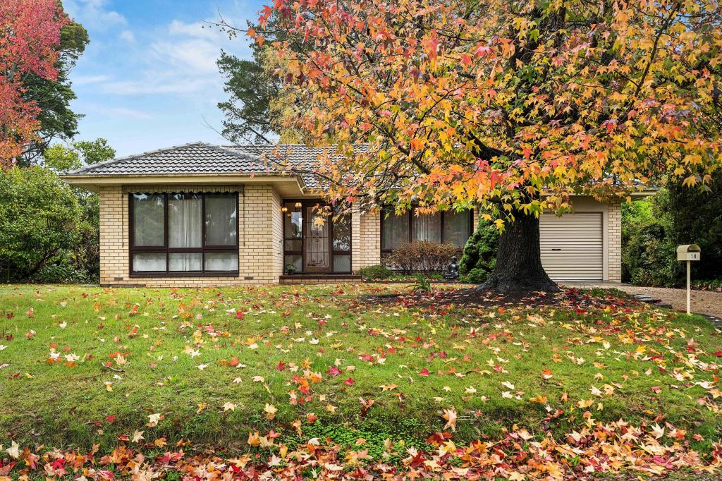 14 Ethel St, Stirling, SA 5152