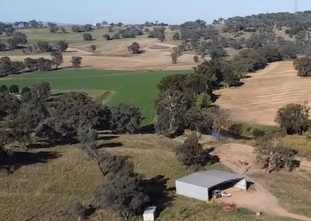 2350 George Russell Dr, Canowindra, NSW 2804