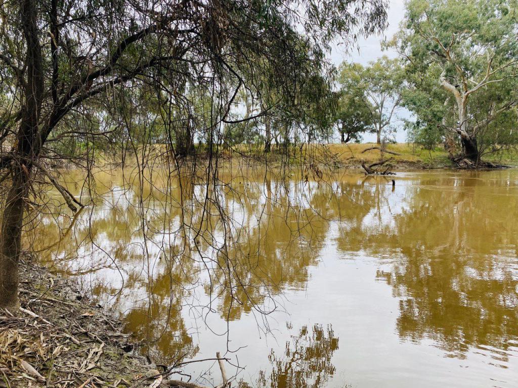 92 OFFICERS PDE, CONDOBOLIN, NSW 2877