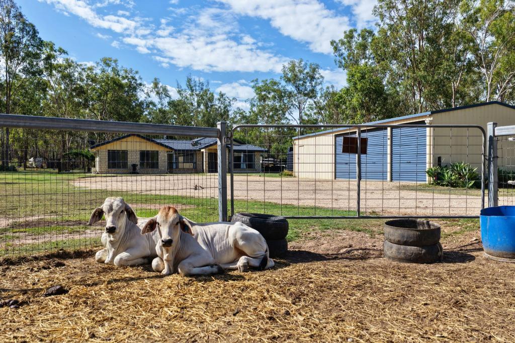 8 Lewis Ct, Lockyer Waters, QLD 4311