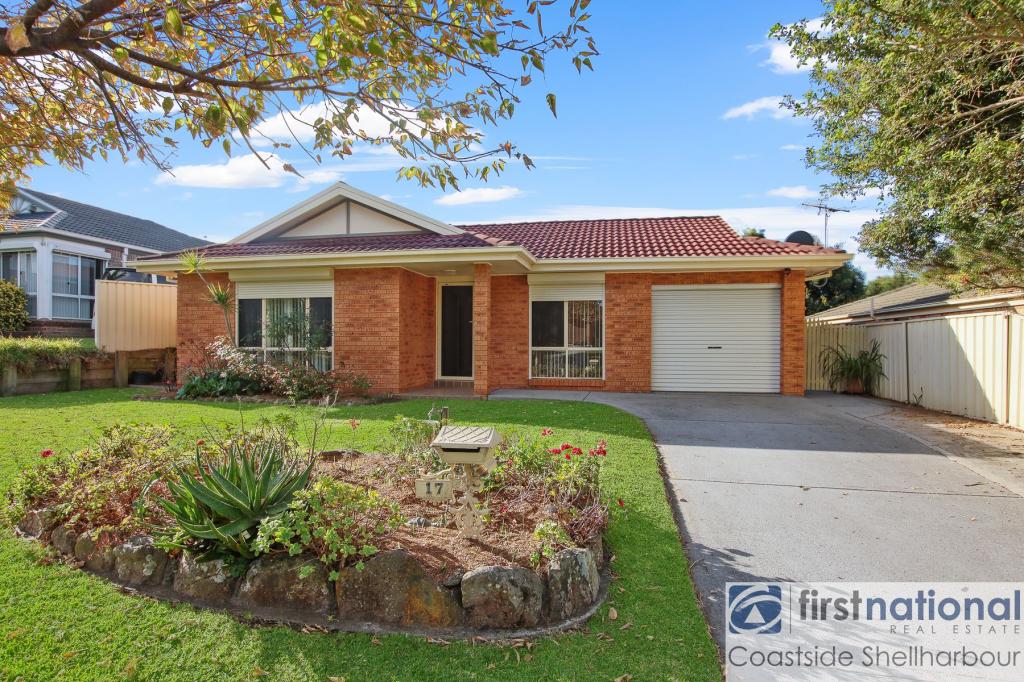 17 Brou Pl, Flinders, NSW 2529