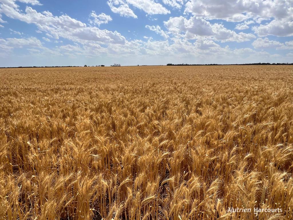 Lot 504 Dowerin-Koorda Rd, Booralaming, WA 6475