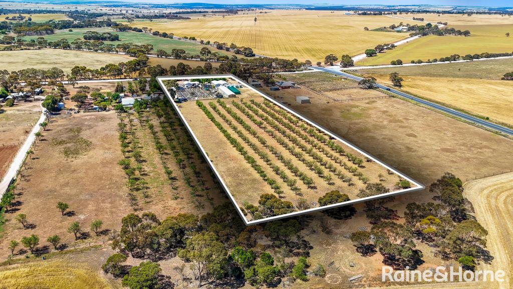 19 Heinjus Rd, Woodchester, SA 5255